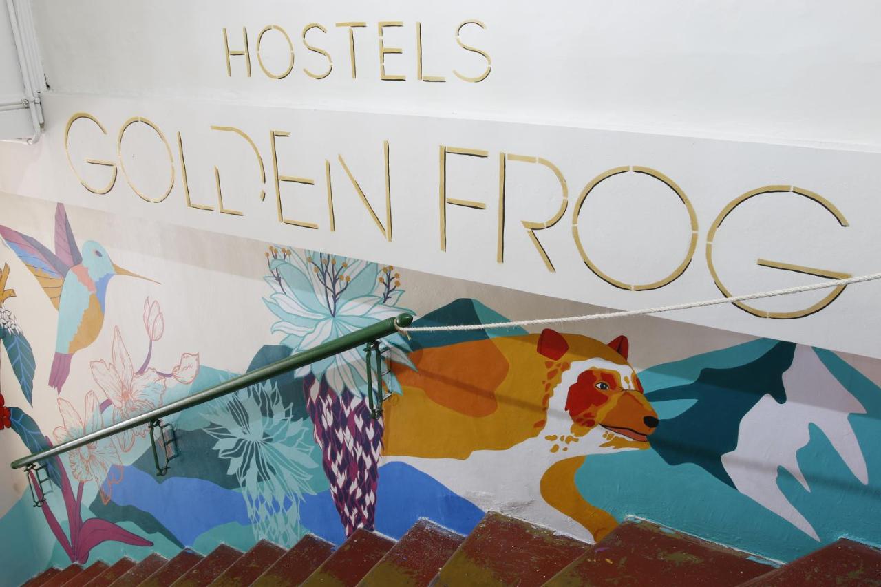 Golden Frog Manizalesホステル エクステリア 写真